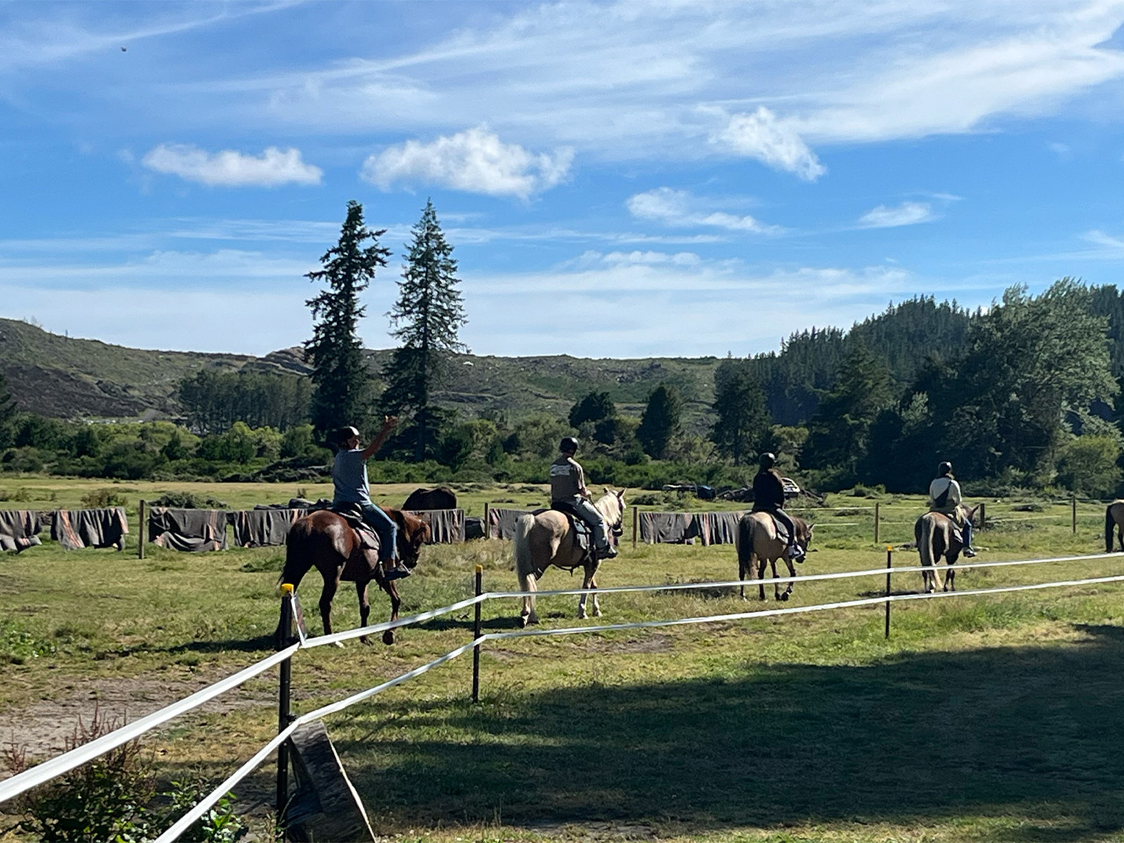 Horse riding near Turangi